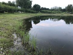 -永定河休闲森林公园