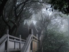 -梧桐山风景名胜区