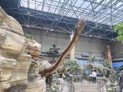 -国家自然博物馆