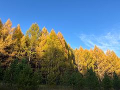 -塞罕坝国家级自然保护区