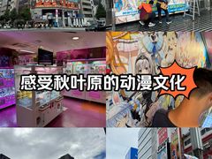 -秋叶原电器街