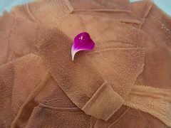 -蜀留香火锅(社会山店)