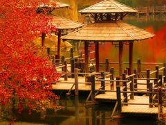 -九如山休闲旅游度假区