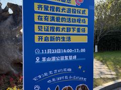-羊山湖公园