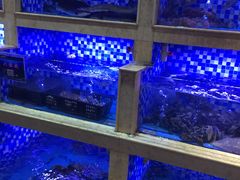 -老蒲鲜(涵江店)