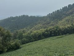 -敬亭山风景名胜区