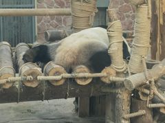 -黔灵山公园