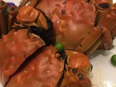 -同里湖大饭店-怡景轩中餐厅(同里古镇店)