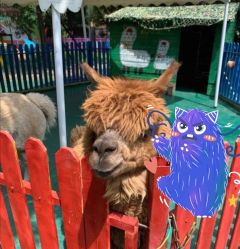 -萌宠亲子动物乐园(槐房万达店)