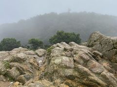 -梧桐山风景名胜区