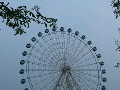 -秦皇岛乐岛海洋王国