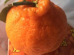 -龙头岩(Dragon Head Rock)