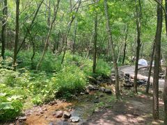 -玉渡山自然风景区