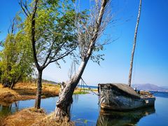 -洱海月湿地公园