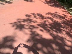 -敬亭山风景名胜区