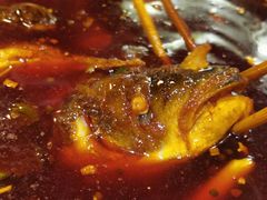 -肖肖酸萝卜鱼火锅(总店)