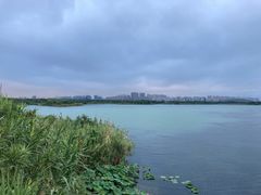 -贡湖湾湿地公园