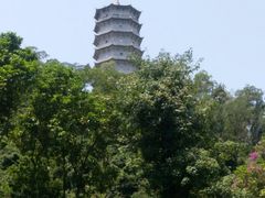 -深圳国际园林花卉博览园