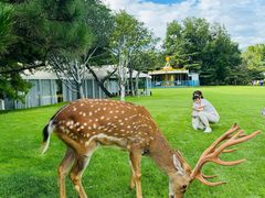 -银树楼(紫玉山庄东区店)