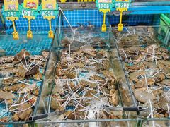 -都斛海鲜街