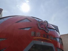-鹏欣水游城