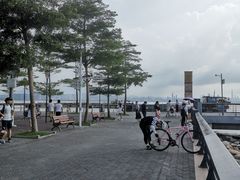 -深圳湾公园-停车场
