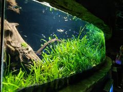 -上海海洋水族馆