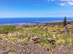 -夏威夷火山国家公园