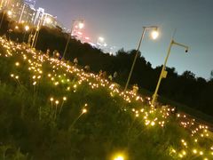 -深圳湾公园(南山区)