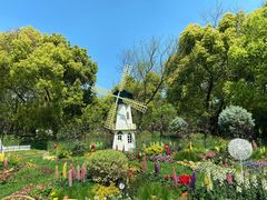 -上海共青森林公园
