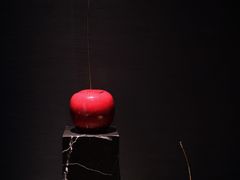 -四季小馆·潤·中国菜(越秀公园店)