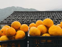 -南靖田螺坑土楼群景区