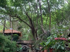 -园林美食城·本土农家菜(杨和镇店)