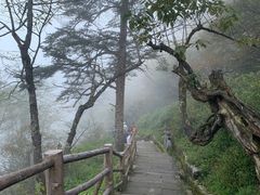 -峨眉山风景名胜区