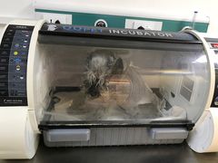 -宠颐生中康贝怡动物医院
