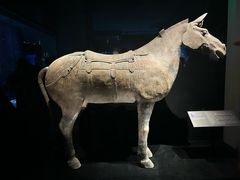-秦始皇帝陵博物院(兵马俑)