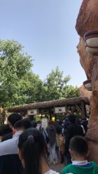 -翱翔飞越地平线