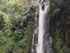 -莫里热带雨林景区