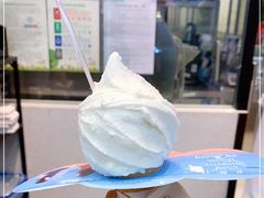 -野人先生现做冰淇淋(西安赛格店)