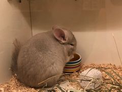 -龙猫仔乐园(惠福东路店)