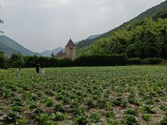 -梦娜斯庄园