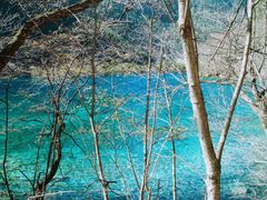 -九寨沟-树正沟