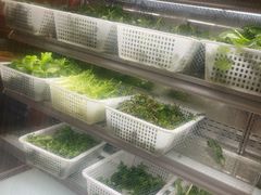 -攀枝花野菜铜火锅(万科凯德店)