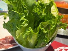 -生活如沸·顺德水牛奶火锅(大学路店)