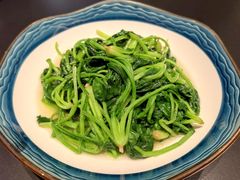 清炒土菠菜-中国徽菜·徽商故里(广安门店)