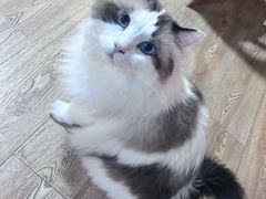 -白兔子密室(长寿路店)