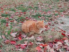 -华东政法大学(松江校区)