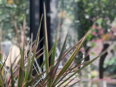 -Willing·Coffee&Brunch&Dinner(万达店)