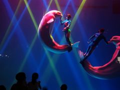 -芜湖新华联大白鲸海洋公园