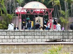 -九龙公园